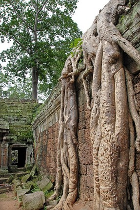 2007-08-07 0215 Angkor Wat NWPLI.xl